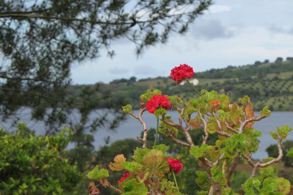 Penzion Monte Da Tojeirinha Montargil Exteriér fotografie
